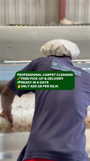 🧼 Professional Carpet Cleaning | Carpet Pro