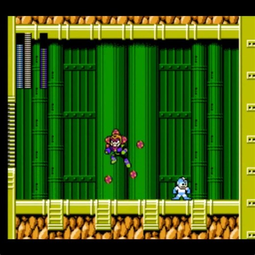 Plant Man Boss Perfect No Damage | Mega Man 6 NES