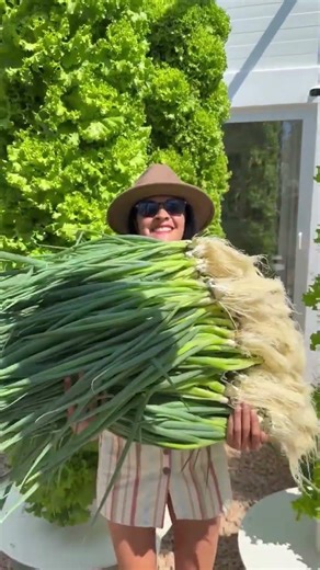 Future Farming Looks Like This🤯 #aeroponics#diy #agriculture