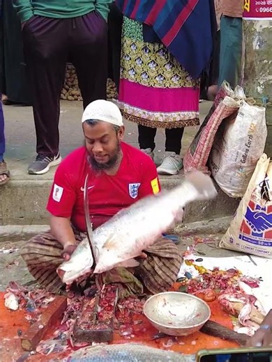 Colorful Coral Fish | Amazing Life of Coral Reef Fish in the Ocean