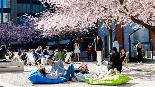 Video shows cherry blossoms in full bloom across London and Birmingham