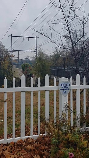 Work to do | Tony Reed