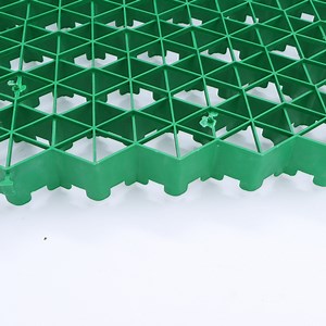 [Hot Item] 50mm High Plastic Grass Grid for British Fire Escape