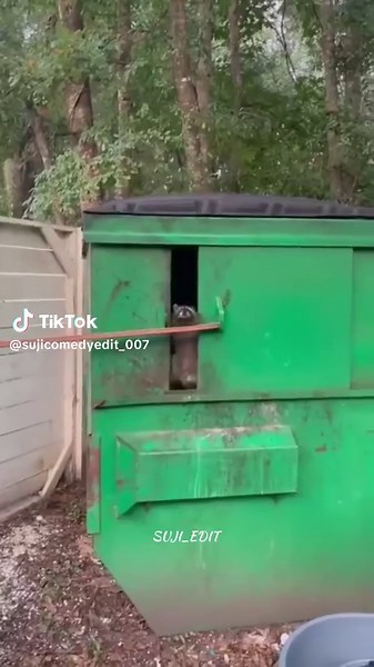 Tamil Comedy Skits That Will Make You Laugh