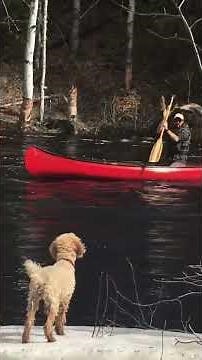 Old Town Canoes - Charles River Royalex