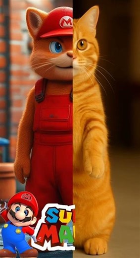Super Mario Kitty 😸🍄