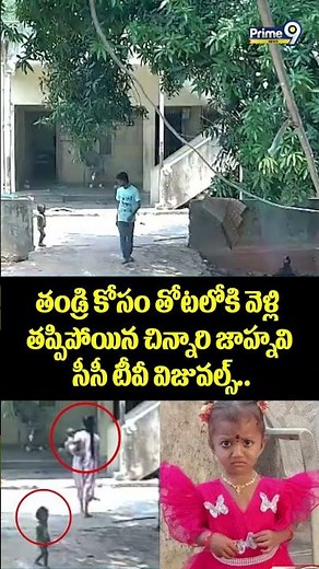 Kakinada Girl Jahnavi Missing Case Viral : తండ్రి కోసం తోటలోకి వెళ్లి తప్పిపోయిన చిన్నారి జాహ్నవి..