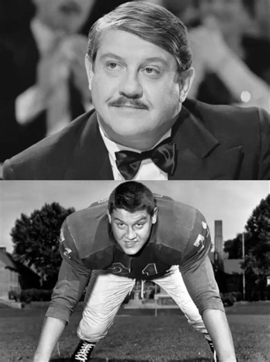 Classic Photos of Alex Karras Alex Karras, who was one of the NFL's most feared defensive tackles throughout the 1960s, a player who hounded quarterbacks and bulled past opposing linemen. And yet, to many people he will always be the lovable dad from the 1980s sitcom Webster or the big cowboy who famously punched out a horse in Blazing Saddles. The rugged player who anchored the Detroit Lions' defense and then made a successful transition to an acting career, with a stint along the way as a comm
