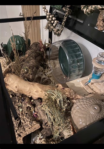 Maximizing Your Mouse Cage: The Clutter Debate