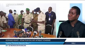 🇲🇱 Mali : prudence avant d'officialiser les libérations de Sophie Pétronin et l'opposant Soumaïla Cissé. "Il y a eu un vrai emballement médiatique", assure Ousmane Ndiaye, rédacteur en chef Afrique de TV5MONDE : "On ne peut pas dire que les otages sont libérés, ni que cela entre dans le cadre d'un échange pour le moment". | TV5MONDE