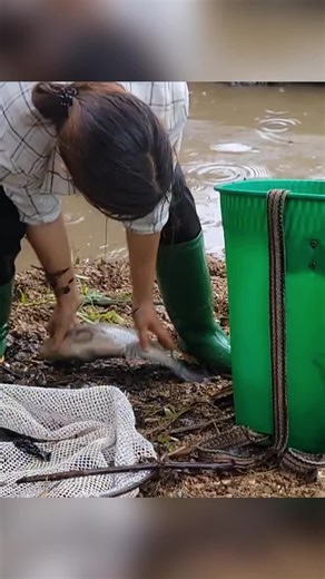 Exploring Giant Fish in a Wild Puddle