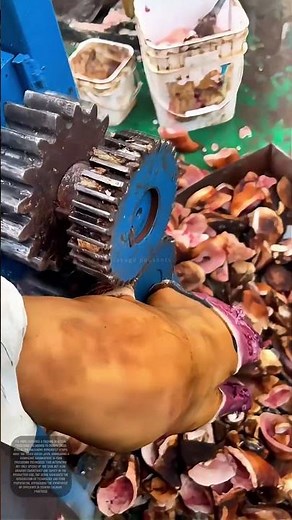 Streamlining Efficiency: The Mechanics of Pig Hoof Processing