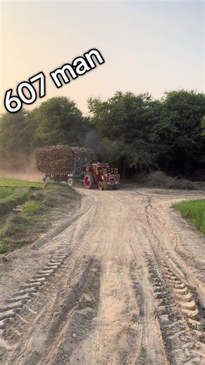 Exploring the Journey of 607 Man: Insights and Stories