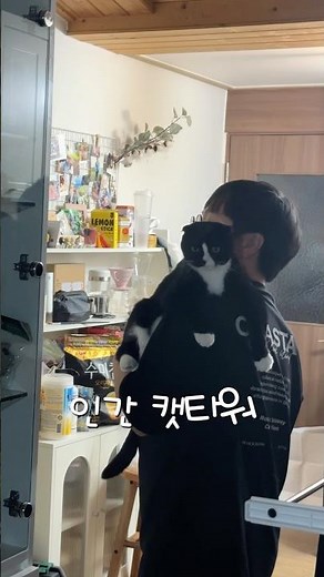 움직이는 인간 캣타워 사용설명서 -고양이편- #고양이 #cat #고양이영상 #캣타워 #집사