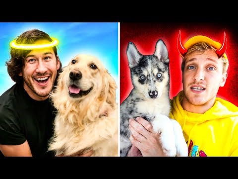 BEST VS WORST Streamer Pet Owners | One of Them Needs to Be STOPPED