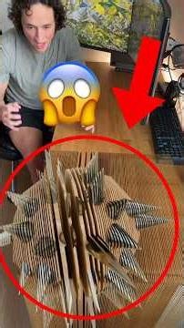 Is It AI or CGI? The Secret Behind Viral TikTok Videos 🧐✨