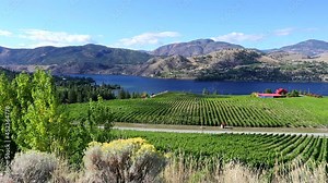 Winery Vineyard Skaha Lake Okanaga Valley Penticton Stock Video