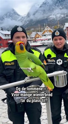 Parrot Roasts Norwegian Cops In Norwegian And It Is Hilarious #soraai #hilarious #parrotroast