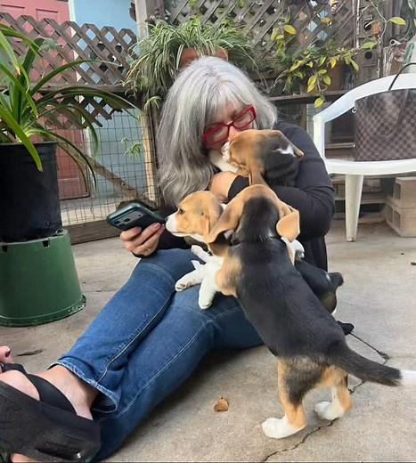 Help Me Rhonda Pet Care on Reels