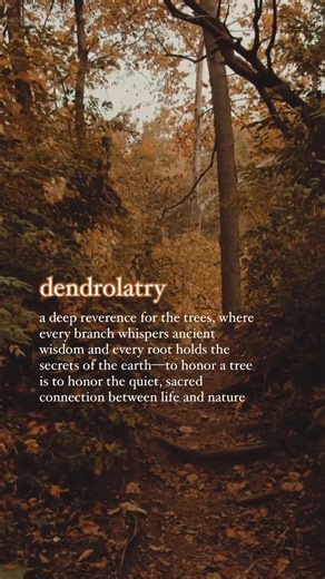 1M views · 45K reactions | Dendrolatry, from the Greek dendron,...