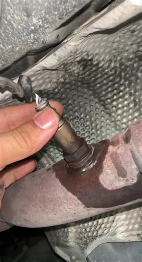 oxygen sensor remove