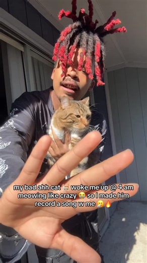 D6ANDZ 🔊 on Instagram: "Normalize cat labor 🐈 #unsignedartist #unsigned #unsignedtalent #unsignedrapper #unsignedhype #soundcloud #soundcloudrap #cats_of_instagram #d6andz #cats #rapmemes #soundcloudartist"