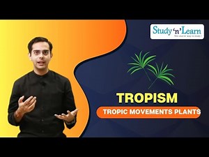 Types of plant movement | Tropism in Plants