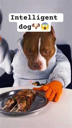 1 "This Dog Eats Like a Human... I'm Shocked 😱☠️#HumanLikeDog#SmartDog#FunnyDog#DogShorts#DogLife🐶😂💯