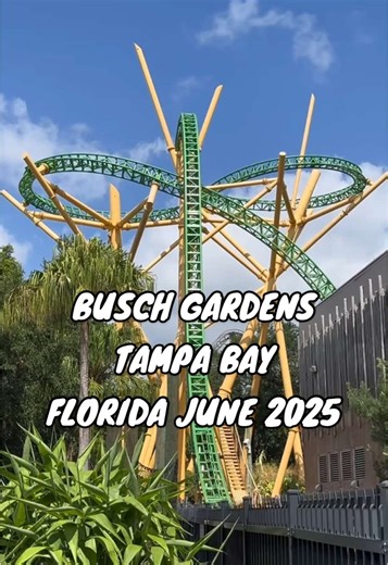 Busch Gardens Tampa Bay Adventure - June 2025