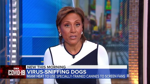 NBA team experiments with COVID-19 detection dogs