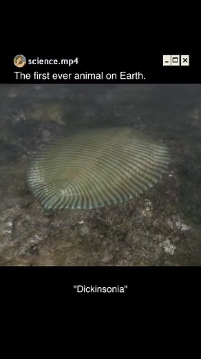 1M views · 16K reactions | This animation of the 550+...