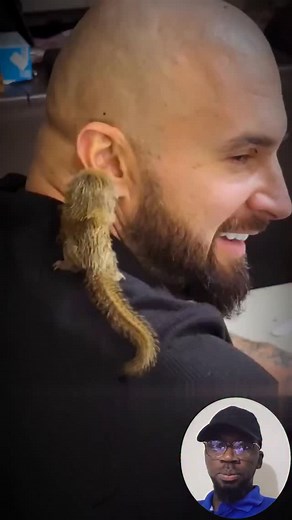 The World’s Smallest Monkey | Petsux