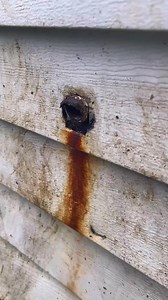 21K views · 144 reactions | Replacing a hose bibb that broke off of a corroded galvanized nipple. #plumbing #plumber #plumbinglife #plumberlife #plumbersoftiktok #hosebib #hosebibbreplacement #hose #bustedpipes #plumbi | Albert Moon | Facebook