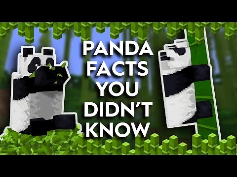 Minecraft Pandas - Facts That You Probably Didn't Know About