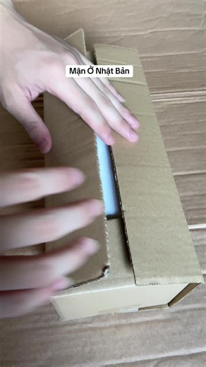 Mận Nhật Bản: Nơi Trái Cây Tươi Ngon Tại Mercari