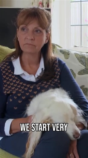 Worried about your dog during thunderstorms? See how music and gentle brushing can transform a stressed pup into a calm, relaxed companion. It's all about creating a comforting environment. Enroll in Victoria’s dog training courses for dog lovers on her official Positively site: https://bit.ly/pos-imotdfb #ItsMeOrTheDog #Dogs #DogTraining #ThunderstormAnxiety #CalmingMusic #DogCareTips #PetComfort | Me Or The Dog