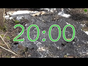 20 Minute Countdown Timer with Nature background - Relaxing Forest Sounds - Foamy Stream In Spring