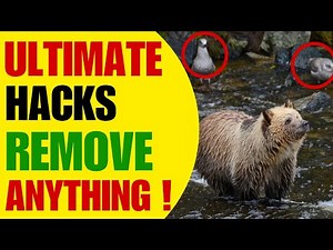 The FASTEST Way to Remove Objects from Photos Using Windows 11(Easy & Simple Steps)