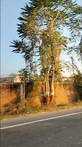 Morning view 🌄 Drive 😍😇 #highway #morning #view#travel#roadtrip#trendingshorts#shorts#viral#boom