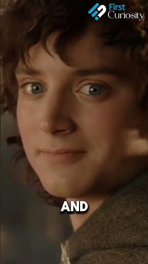 What happens to Frodo after he leaves middle earth?