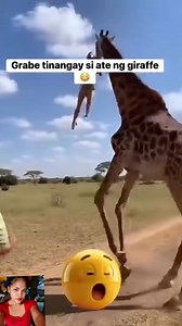 Hala tinangay ng giraffe🦒 ang babae #juliabellvlog #highlight | Jolly Jane Tante Hernane