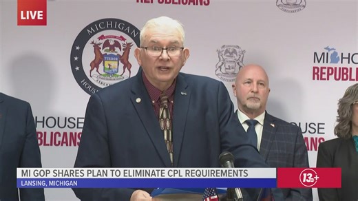 House Republicans discuss plan to remove concealed carry permit requirements