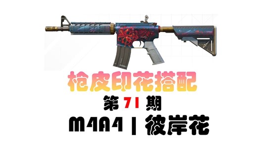 【CS2】教你用印花搭配皮肤 p71：M4A4 | 彼岸花