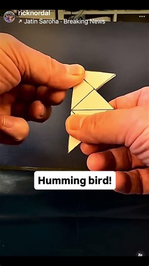 Origami Snowflake Game