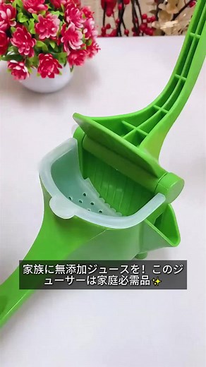 新鮮な無添加ジュースが簡単に作れるジューサー