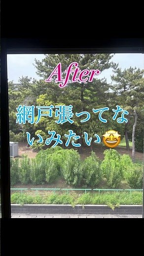 網戸張り替えシーズン到来です‼️ご希望の網戸種類、お勧め網をご提案致します💁‍♂️どうぞよろしくお願いします🙆#網戸張り替え#網戸 #庭作業 #千葉市 #お困り事