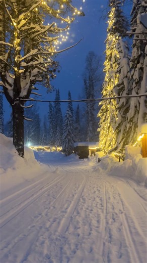 seeker (@beauty_ofnature141)’s videos with C418 Key - 303