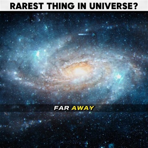 RAREST THING IN THE UNIVERSE 🤯