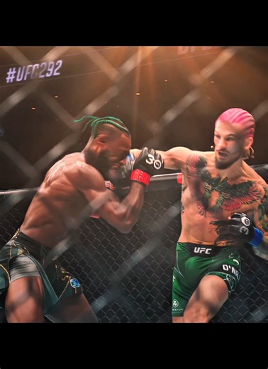 Merab Dvalishvili vs. Sean O'Malley MMA Showdown