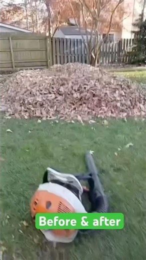 Leaf Clean up with ‪@Kevinscleancutz‬